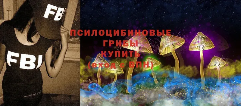 Псилоцибиновые грибы Psilocybe  гидра как войти  Грязовец  дарнет шоп 